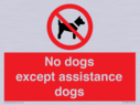 no-dogs-except-assistance-dogs~